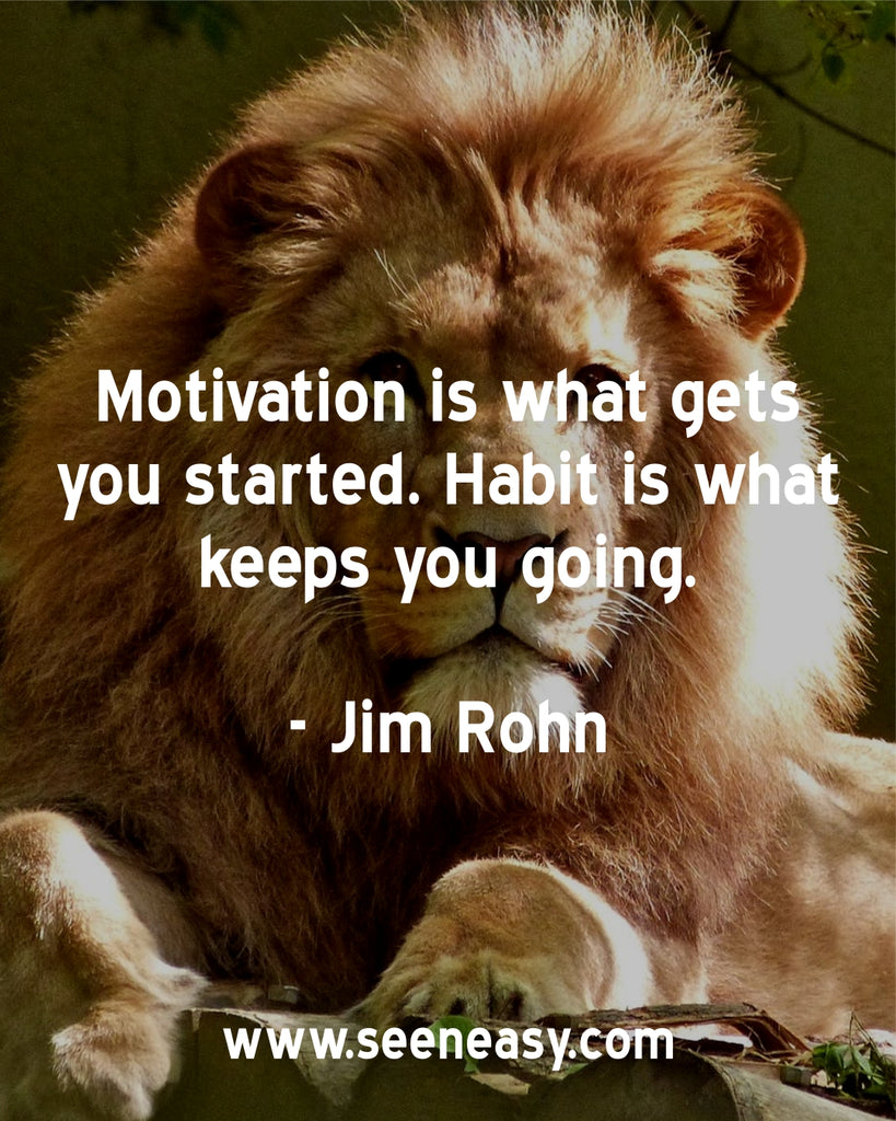 Motivation is what gets you started. Habit is what keeps you going.