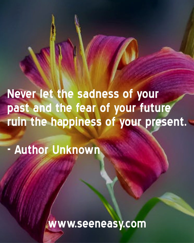 Never let the sadness of your past and the fear of your future ruin the happiness of your present.