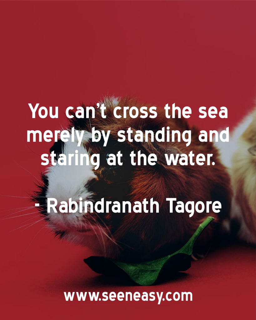 You can’t cross the sea merely by standing and staring at the water.