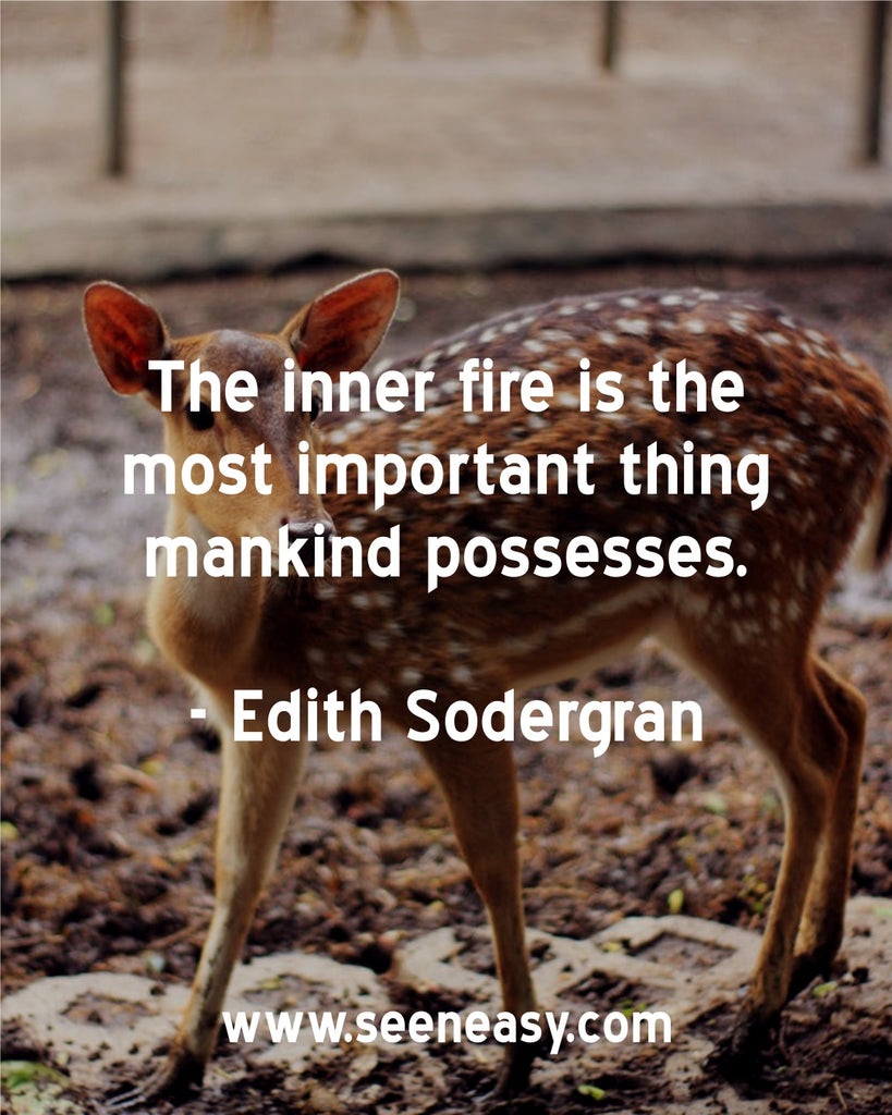 The inner fire is the most important thing mankind possesses.
