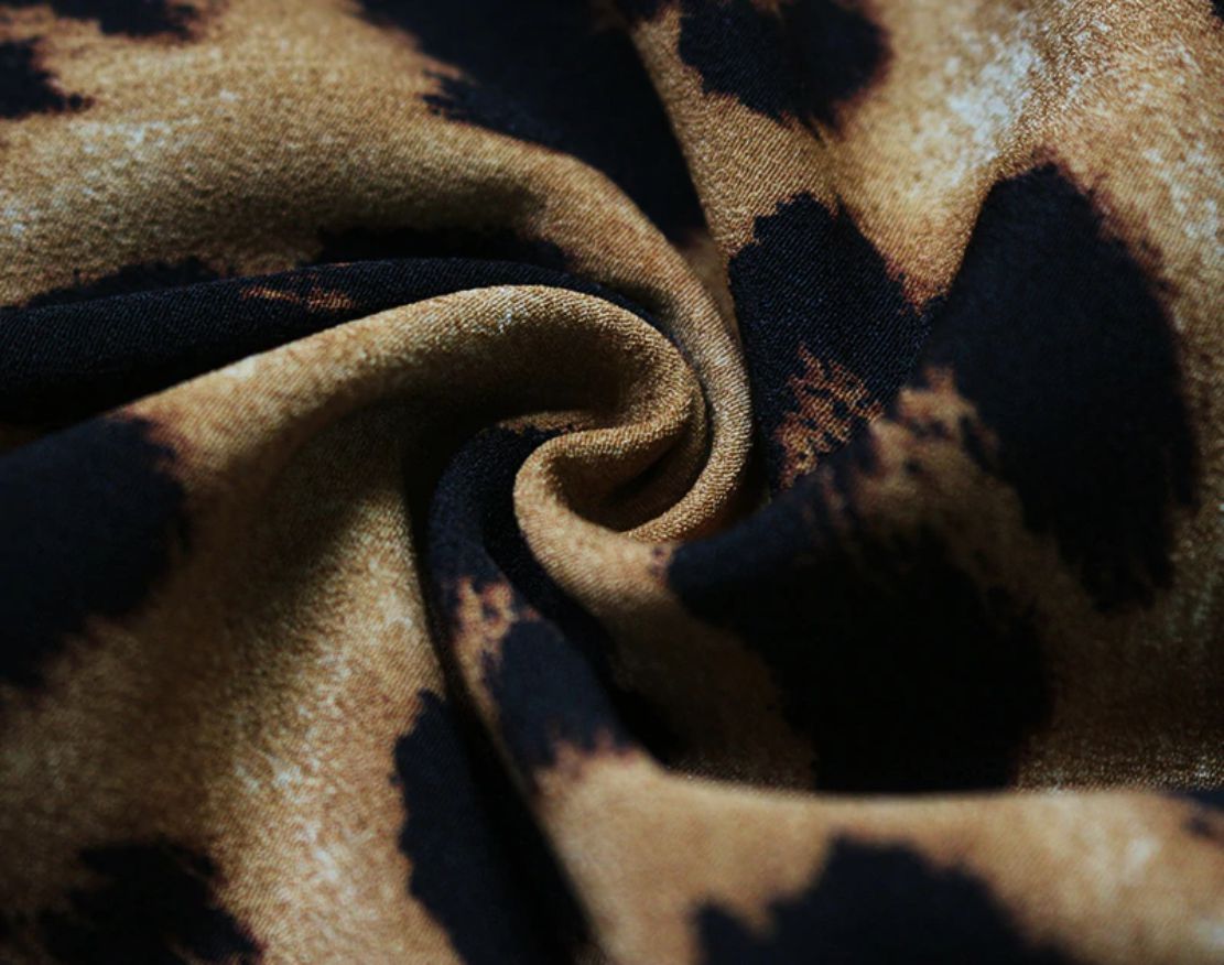 Long Sleeve Deep V-neck Leopard Dress