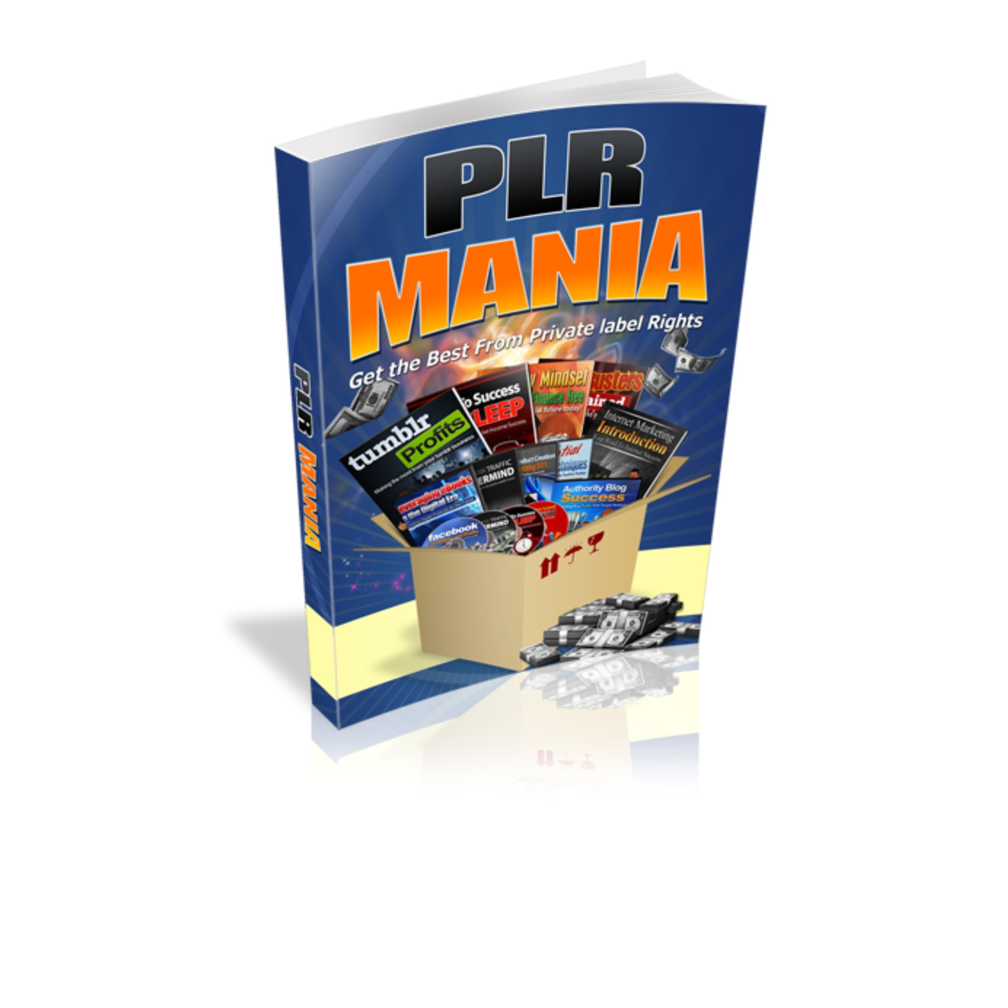 PLR Mania Ebook