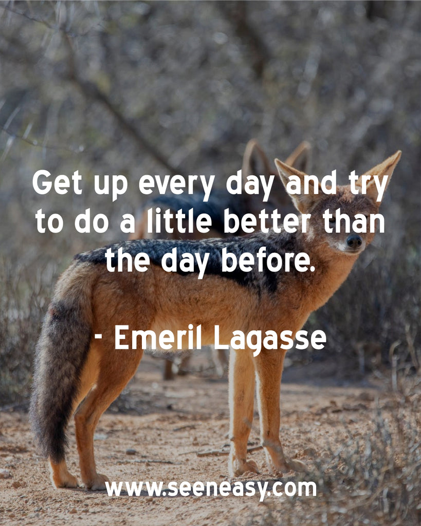 Get up every day and try to do a little better than the day before.