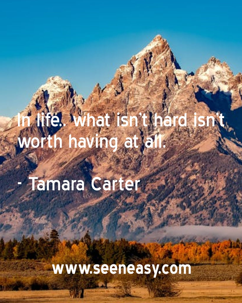 In life.. what isn’t hard isn’t worth having at all.