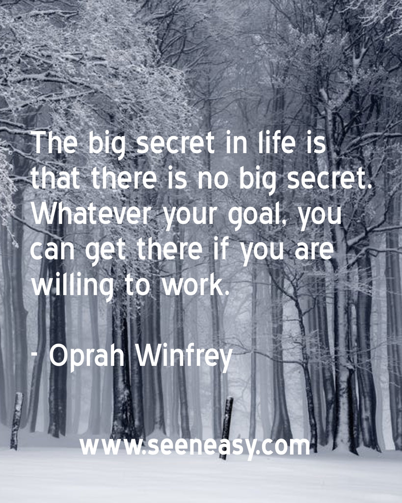 The big secret in life is that there is no big secret. Whatever your goal, you can get there if you are willing to work.