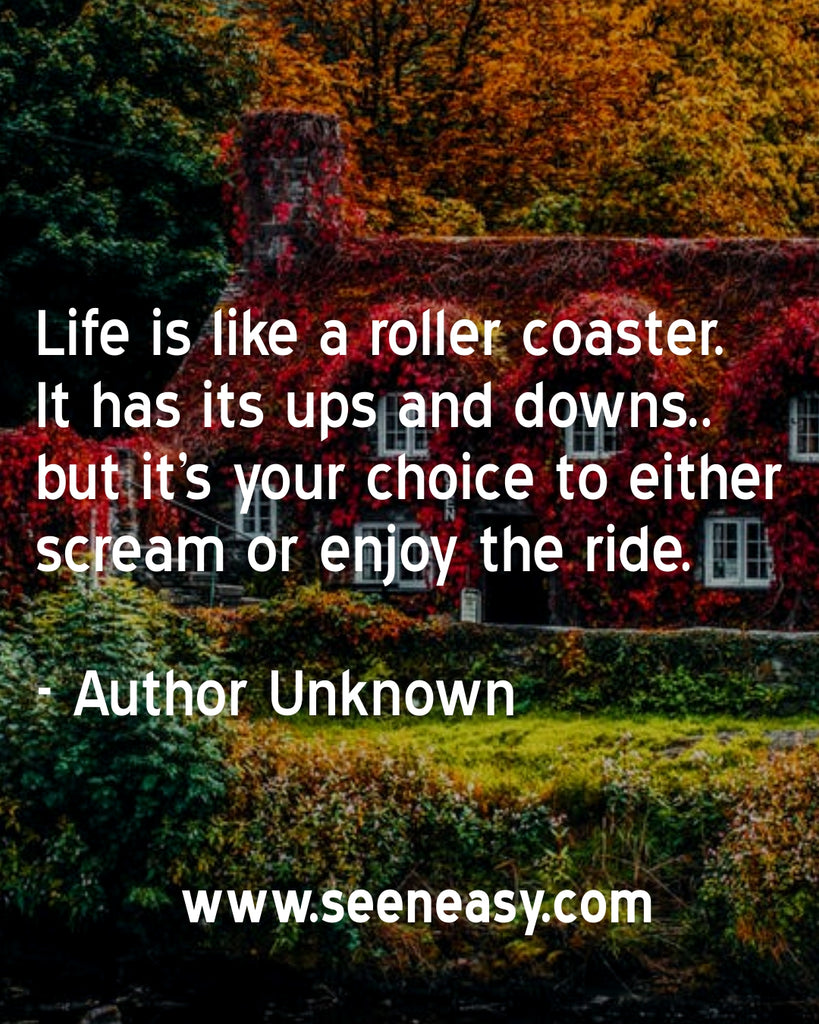Life is like a roller coaster. It has its ups and downs.. but it’s your choice to either scream or enjoy the ride.