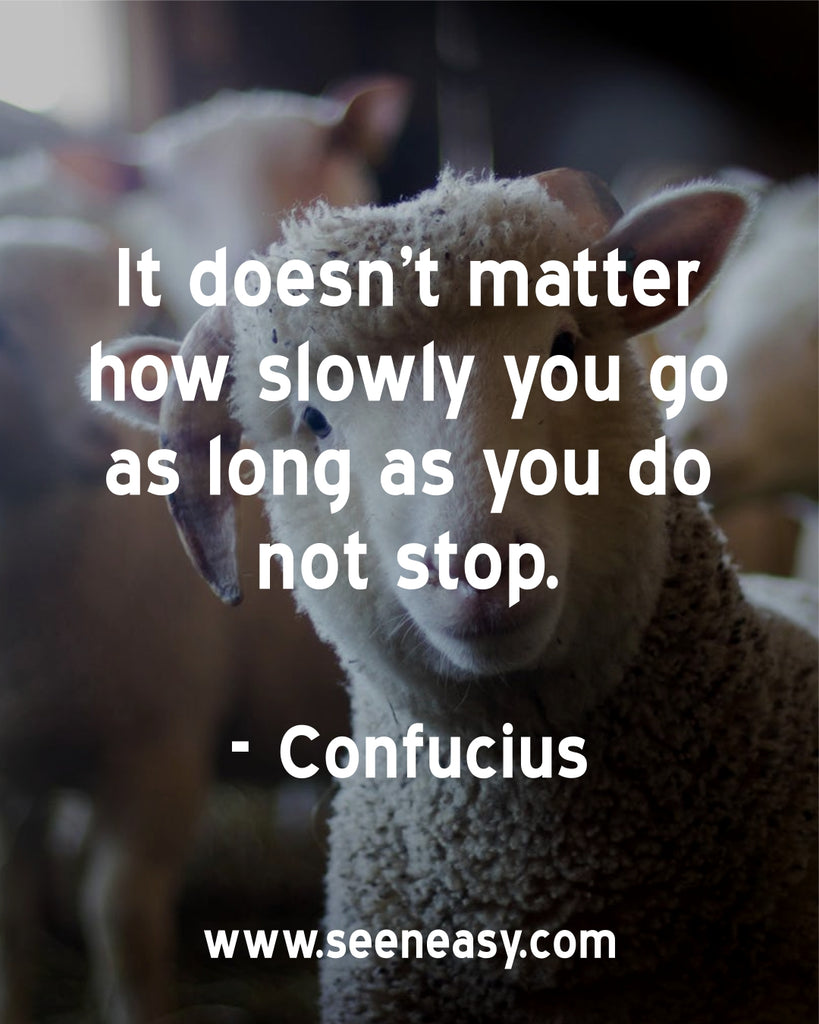 It doesn’t matter how slowly you go so long as you do not stop.