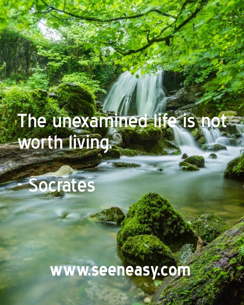 The unexamined life is not worth living.