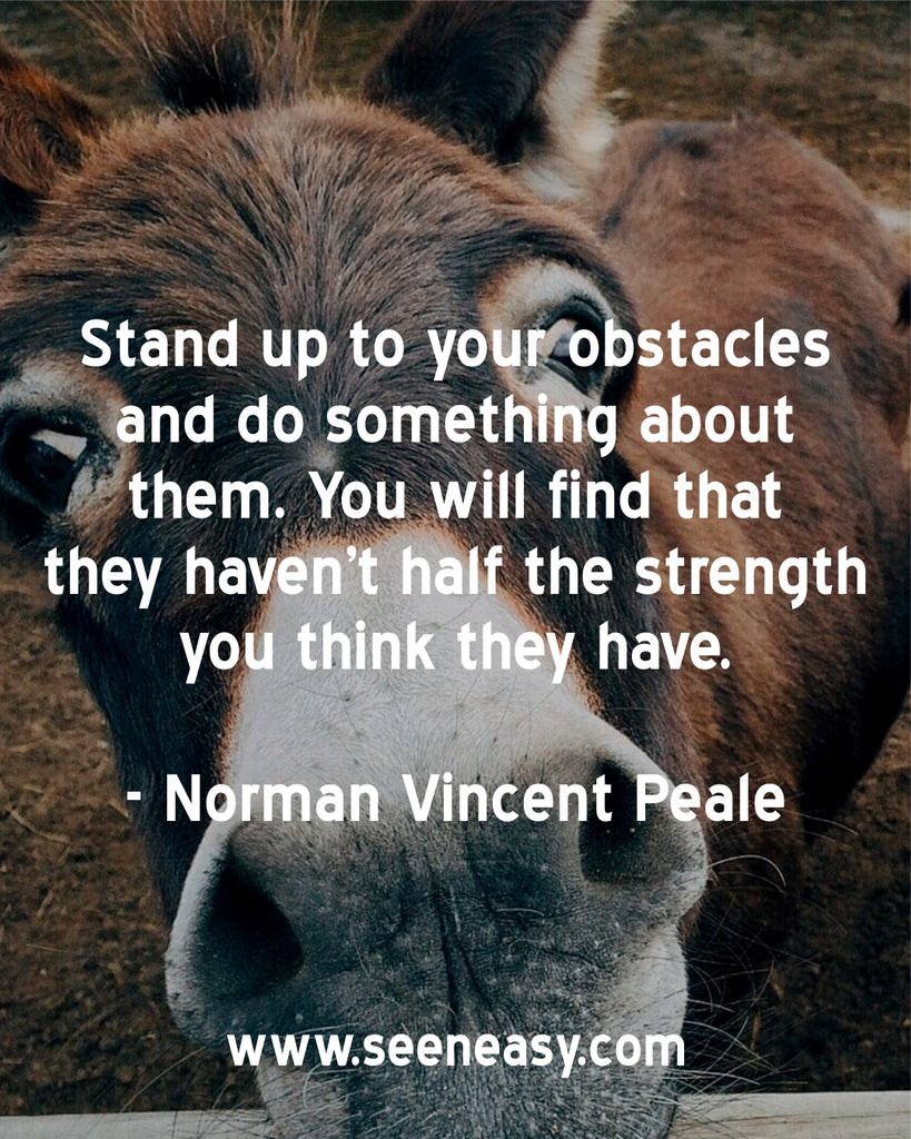 Stand up to your obstacles and do something about them. You will find that they haven’t half the strength you think they have.