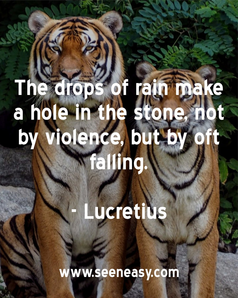 The drops of rain make a hole in the stone, not by violence, but by oft falling.