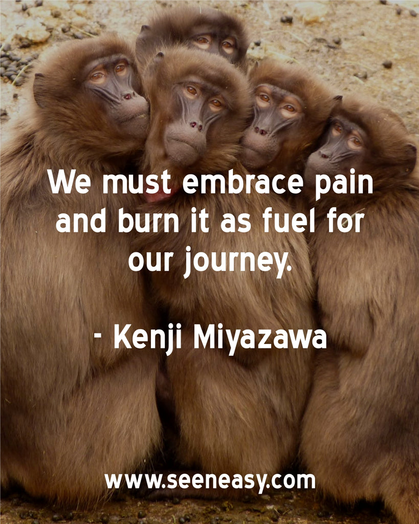 We must embrace pain and burn it as fuel for our journey.