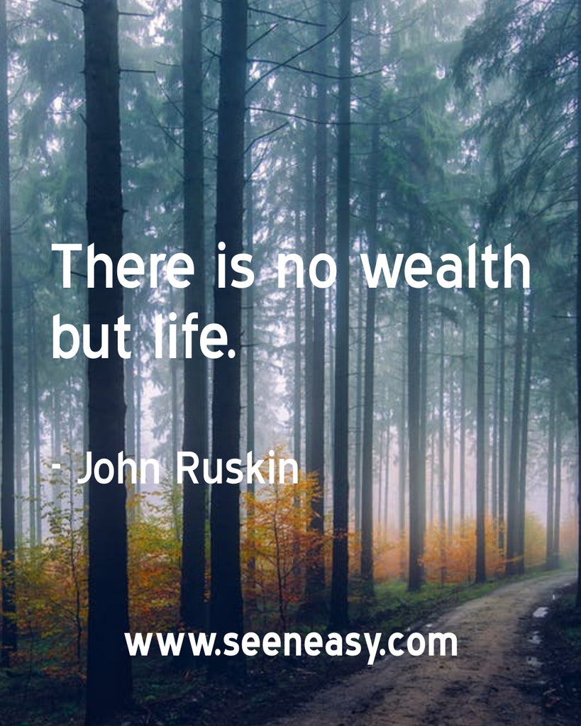 There is no wealth but life.