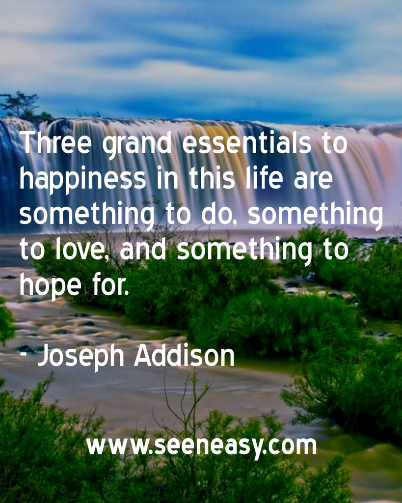 Three grand essentials to happiness in this life are something to do, something to love, and something to hope for.