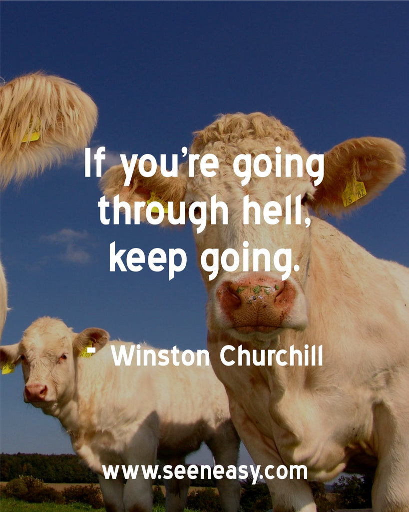 If you’re going through hell, keep going.