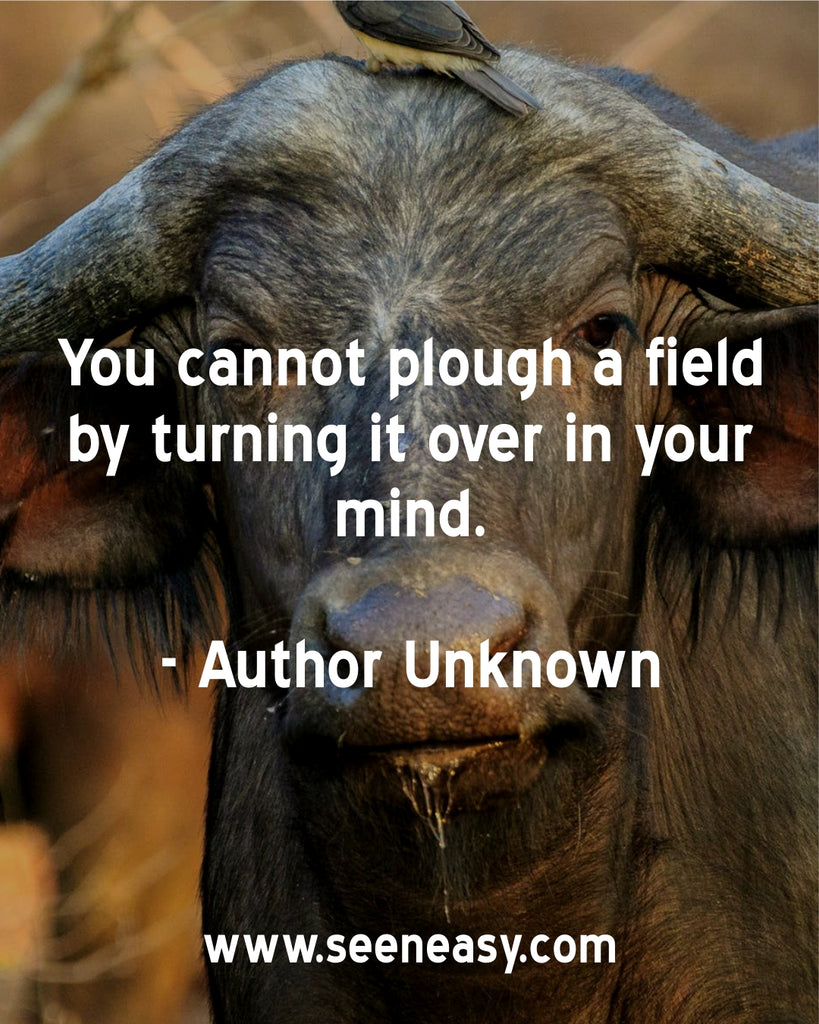 You cannot plough a field by turning it over in your mind.