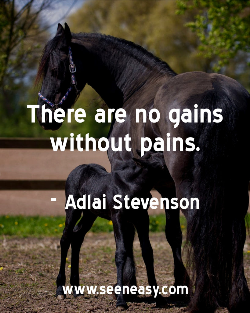 There are no gains without pains.
