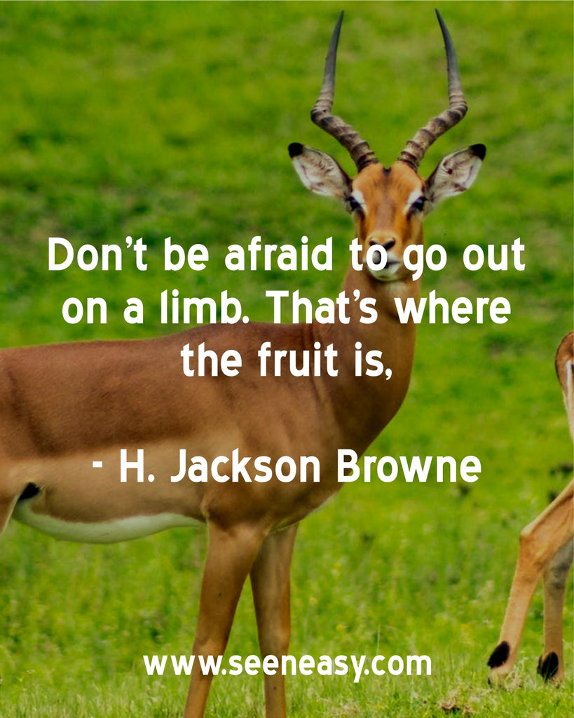 Don’t be afraid to go out on a limb. That’s where the fruit is.