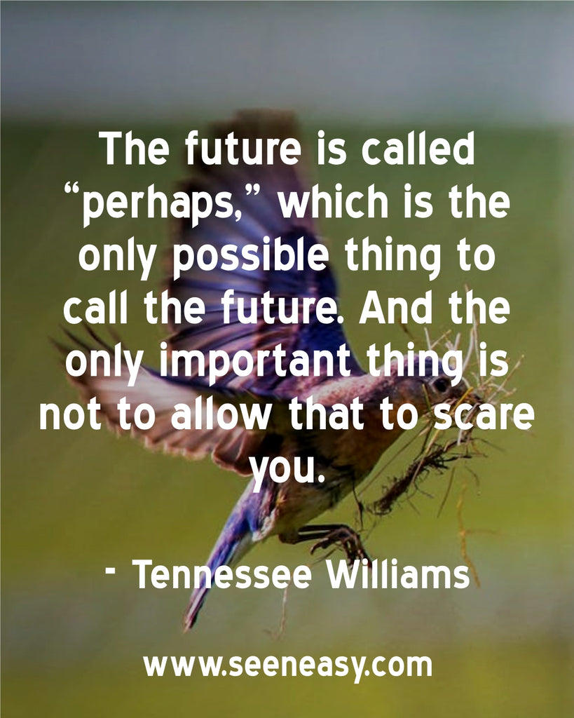 The future is called “perhaps,” which is the only possible thing to call the future. And the only important thing is not to allow that to scare you.