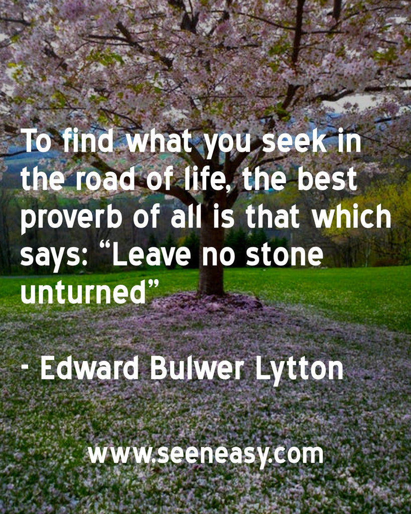 To find what you seek in the road of life, the best proverb of all is that which says: “Leave no stone unturned”.