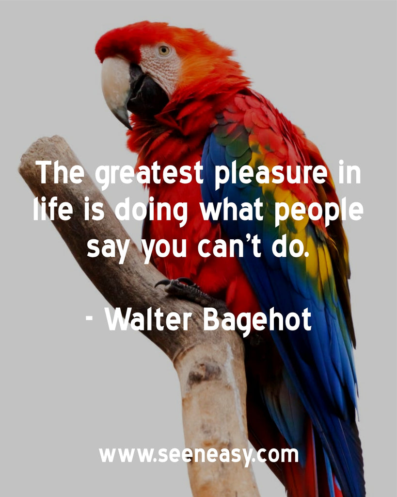 The greatest pleasure in life is doing what people say you can’t do.
