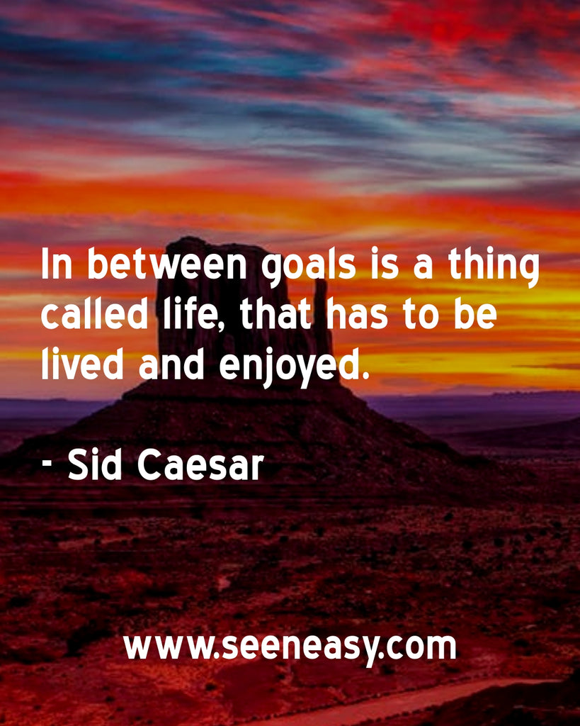 In between goals is a thing called life, that has to be lived and enjoyed.
