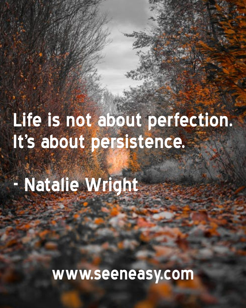 Life is not about perfection. It’s about persistence.