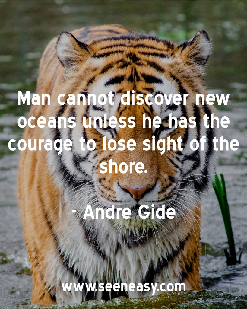 Man cannot discover new oceans unless he has the courage to lose sight of the shore.