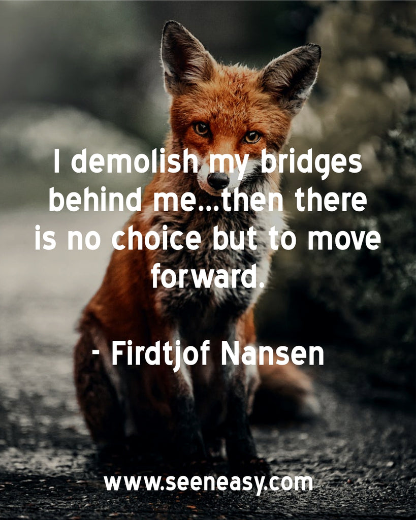 I demolish my bridges behind me…then there is no choice but to move forward.