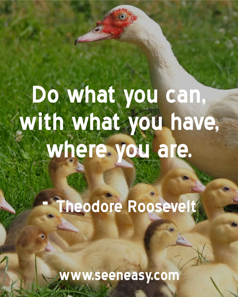 Do what you can, with what you have, where you are.