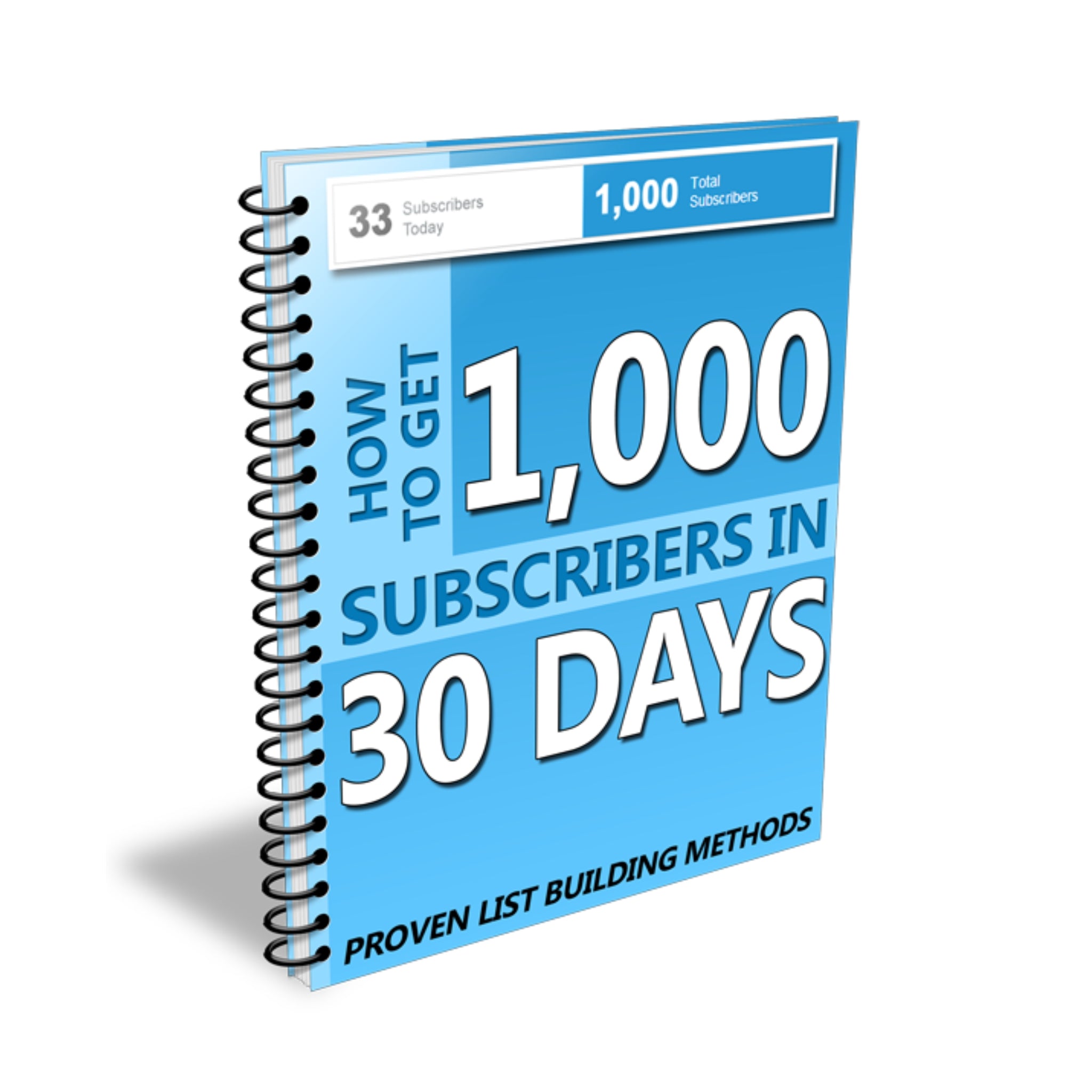 1,000 Subscribers in 30 Days Ebook