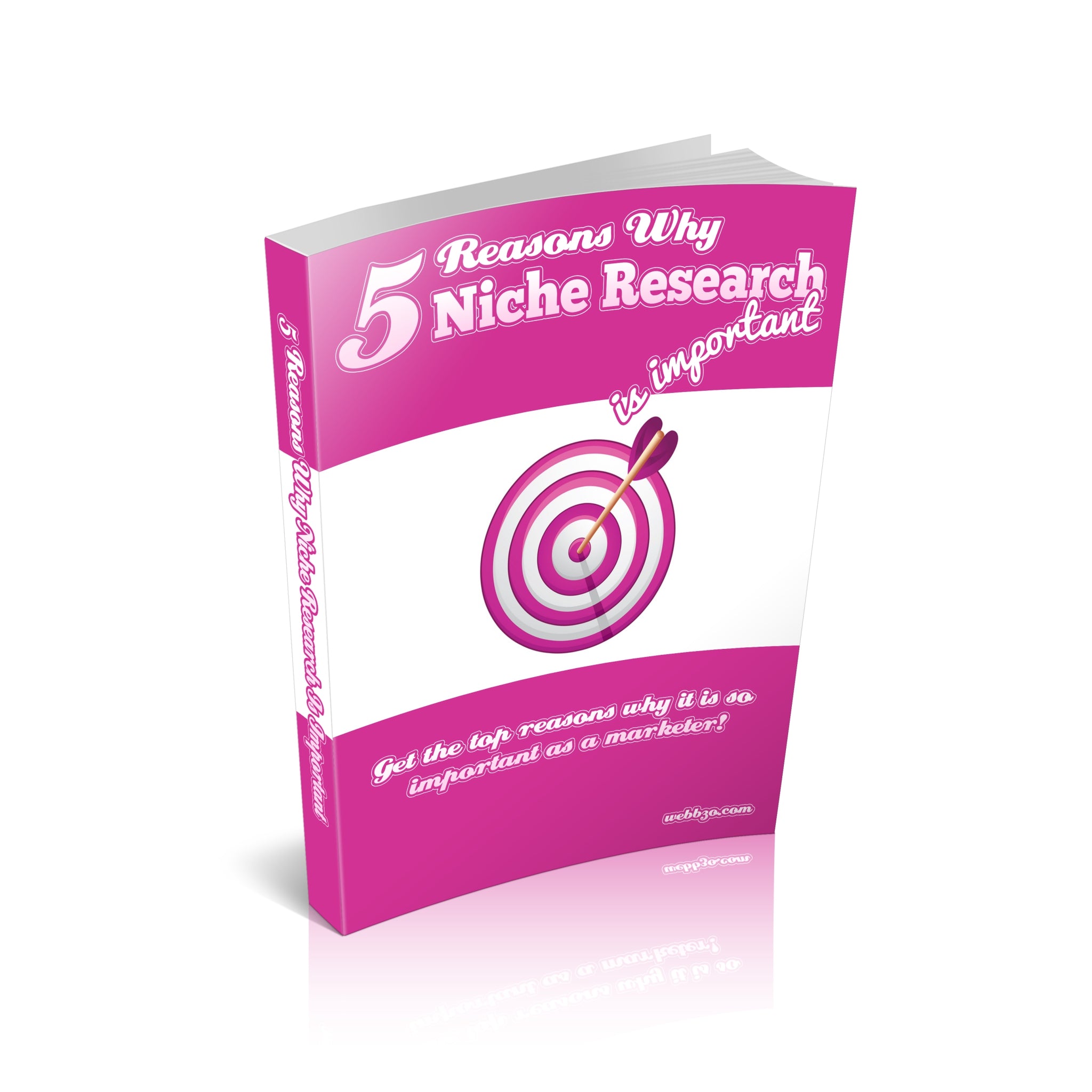 5 Reasons Why Niche Research Is Important Edition 2 Ebook