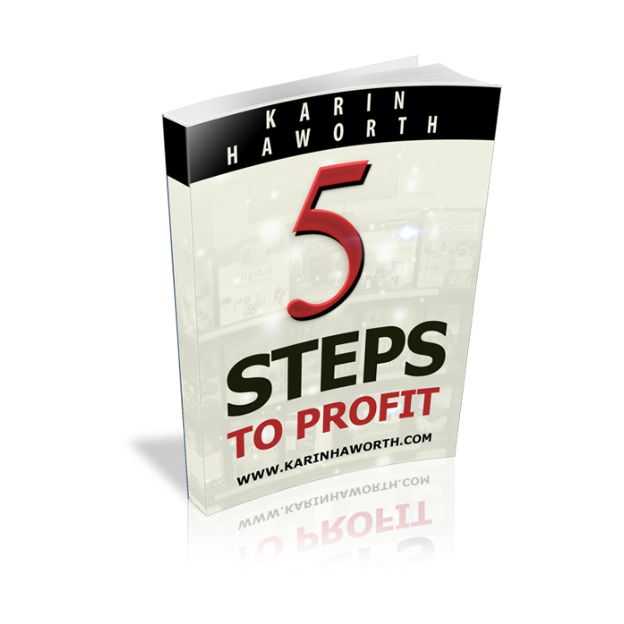 5 Steps to Profit Ebook