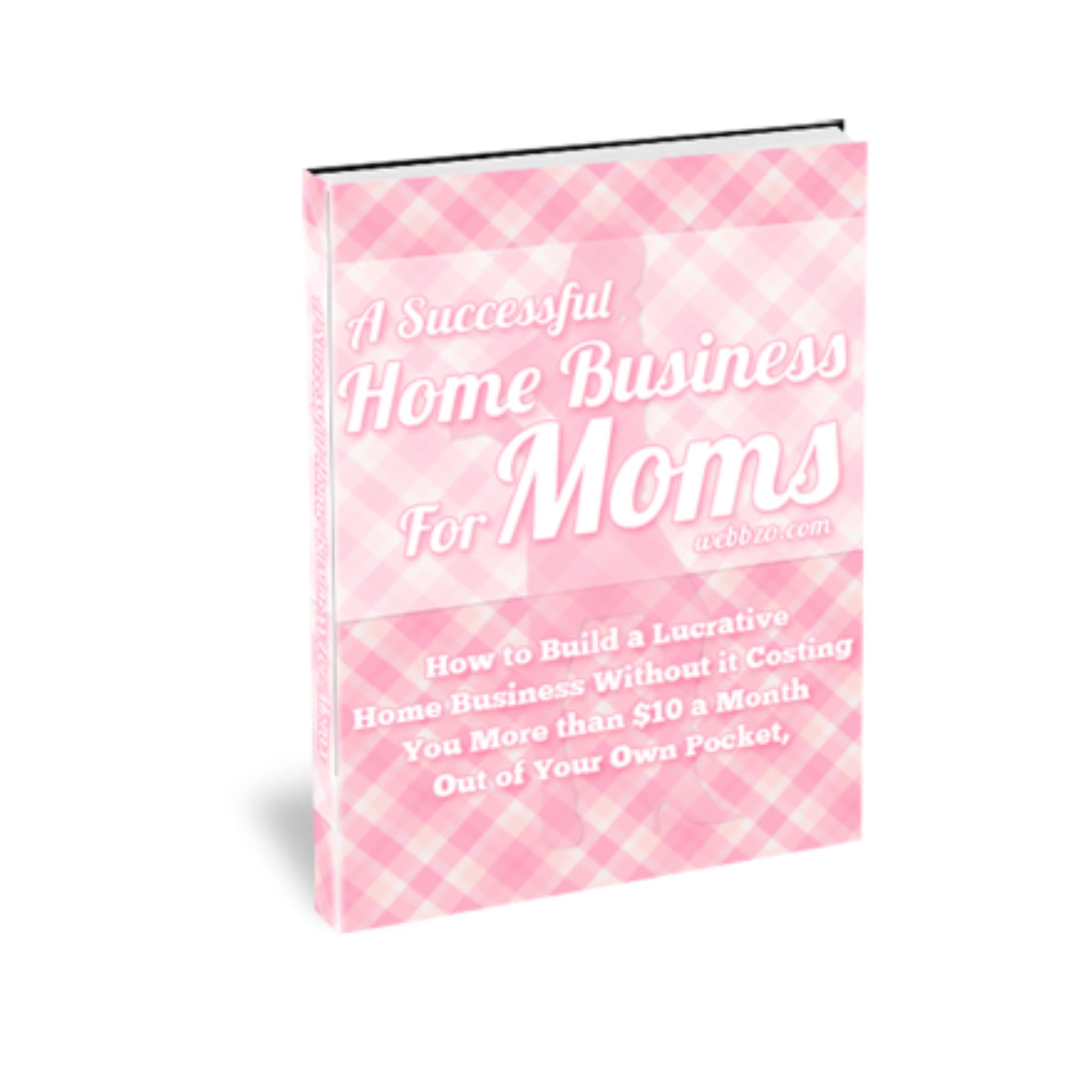 A Successful Home Business For Moms Ebook
