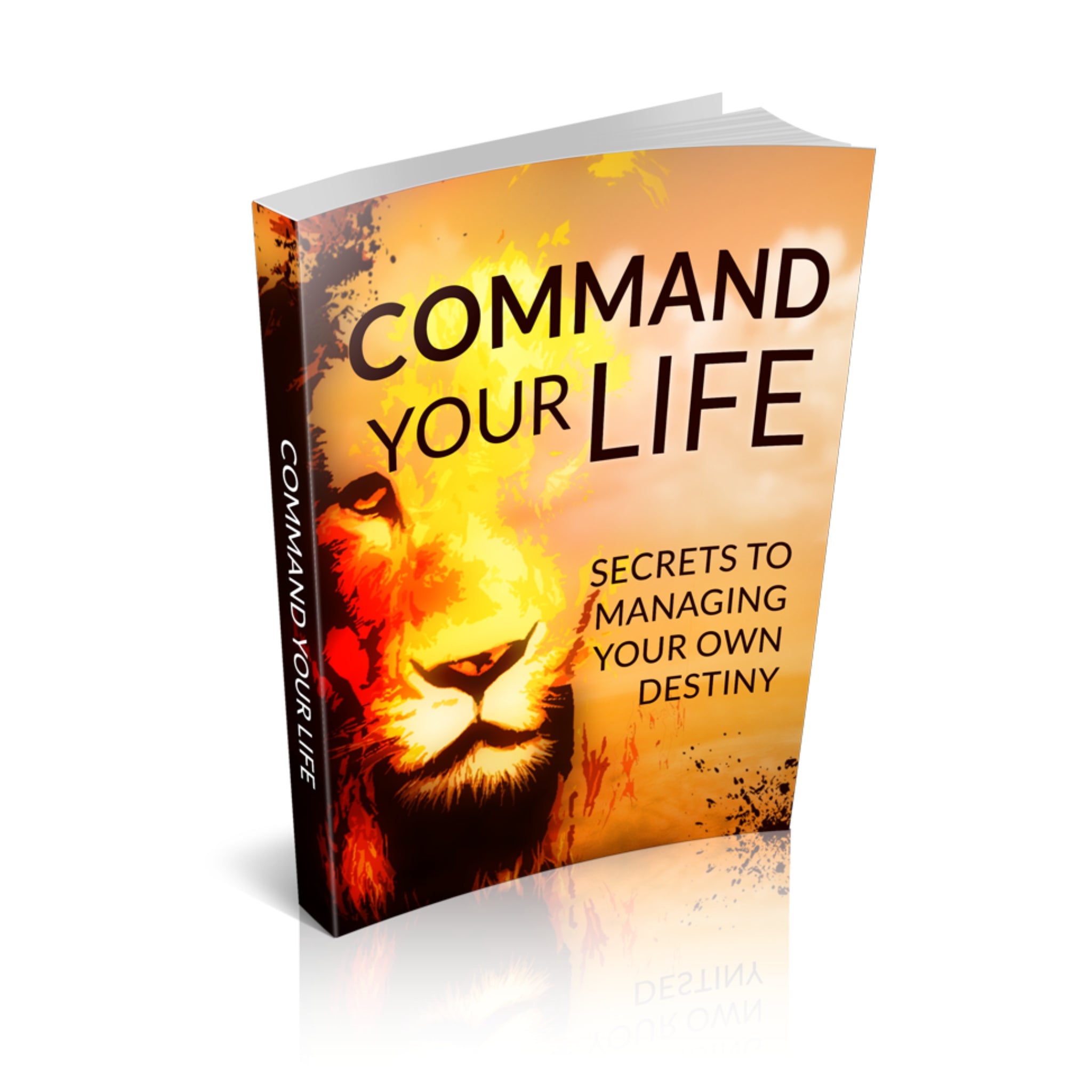Command Your Life Ebook