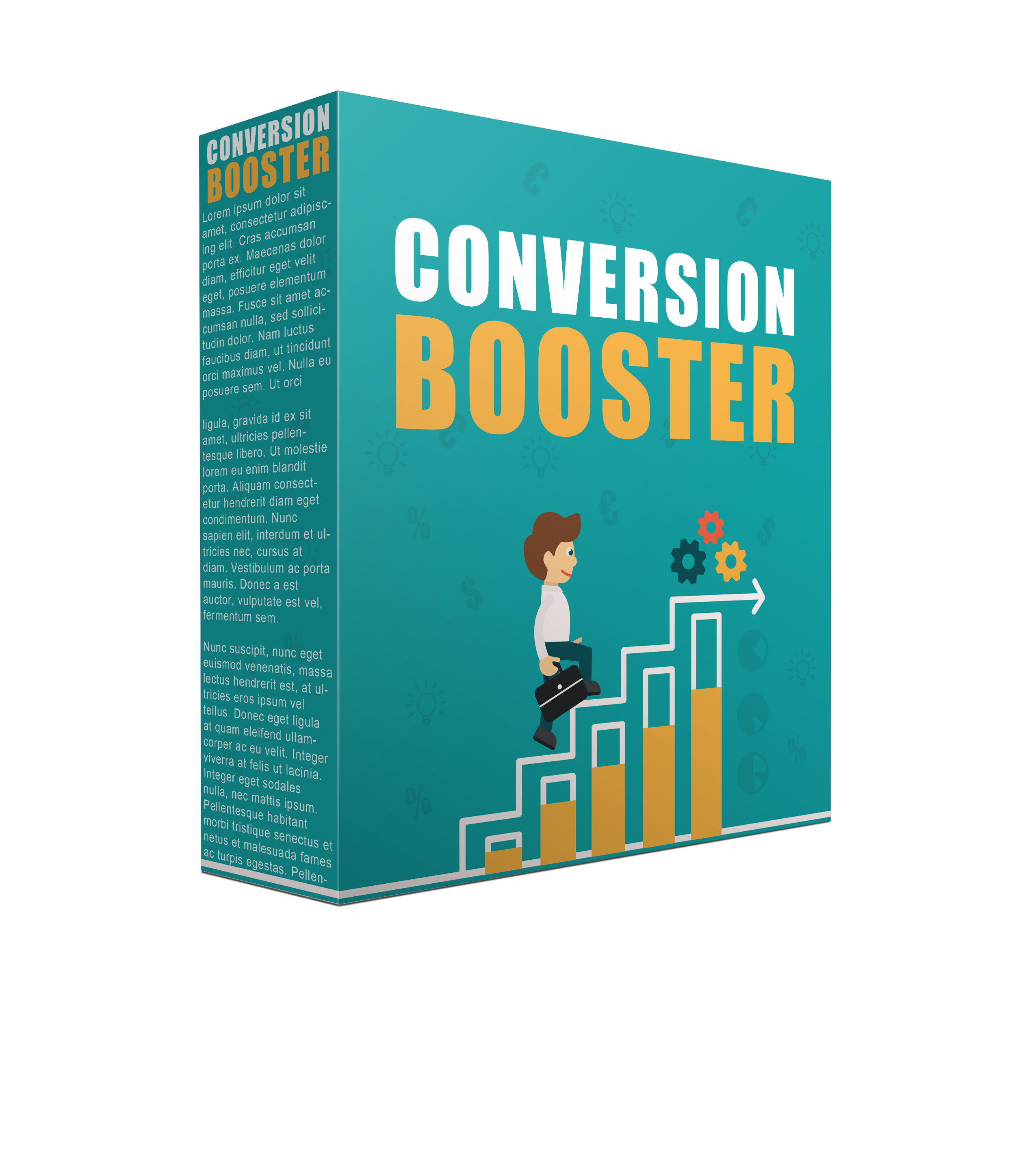 Conversion Booster Video Guide