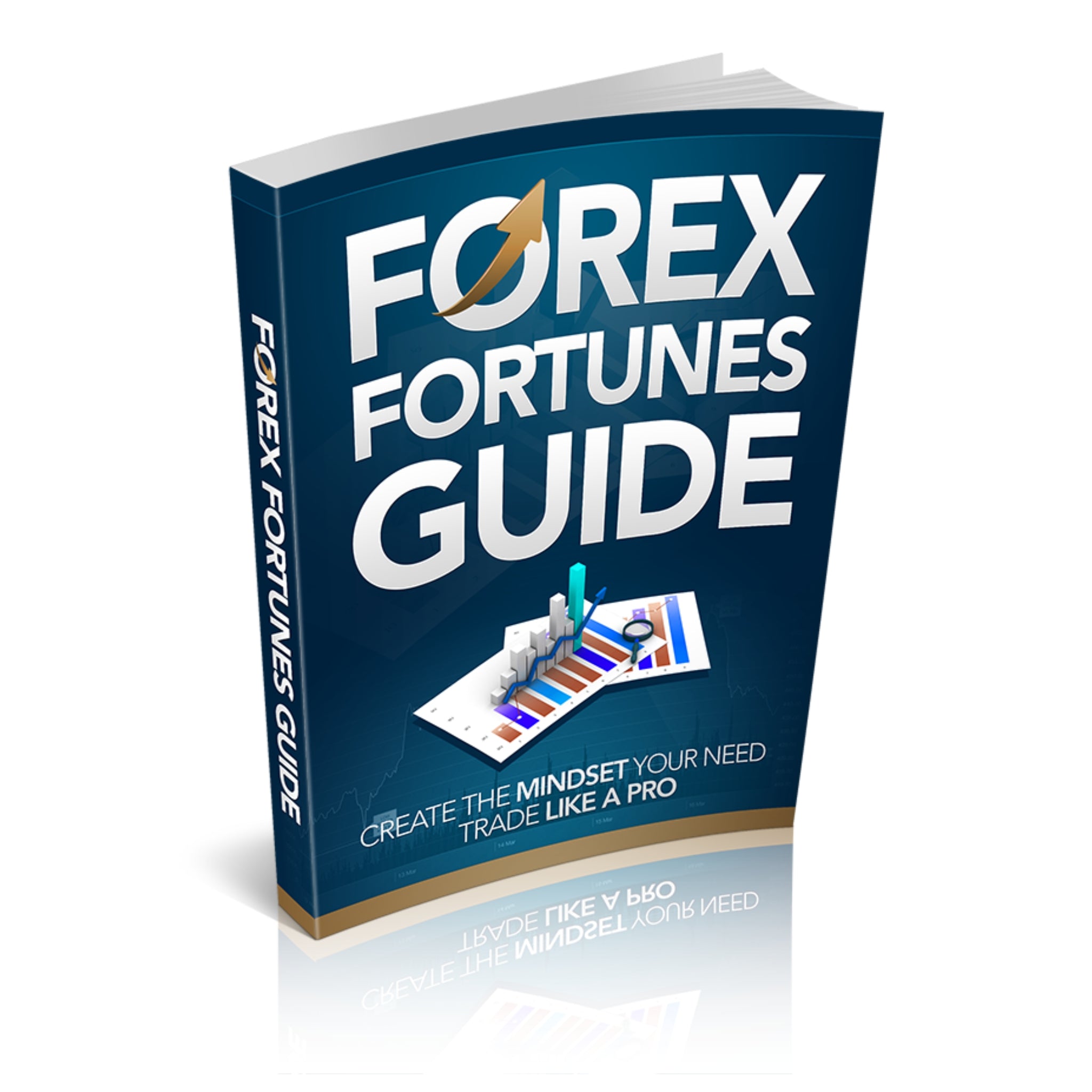 Forex Fortunes Guide Ebook