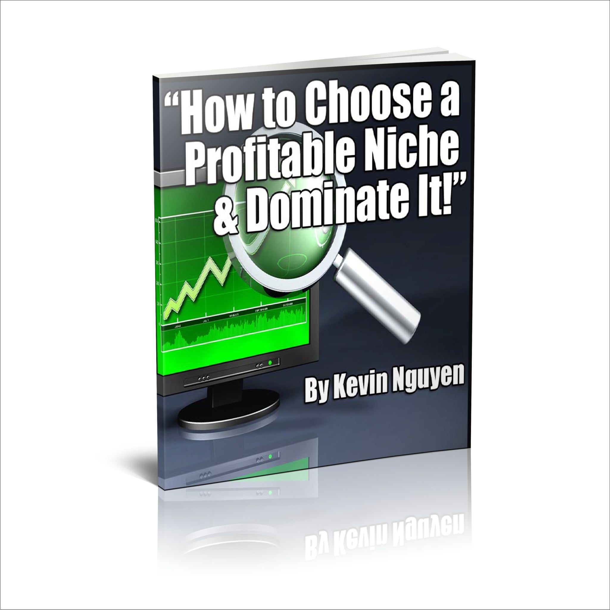 How To Choose A Profitable Niche and Dominating It Ebook