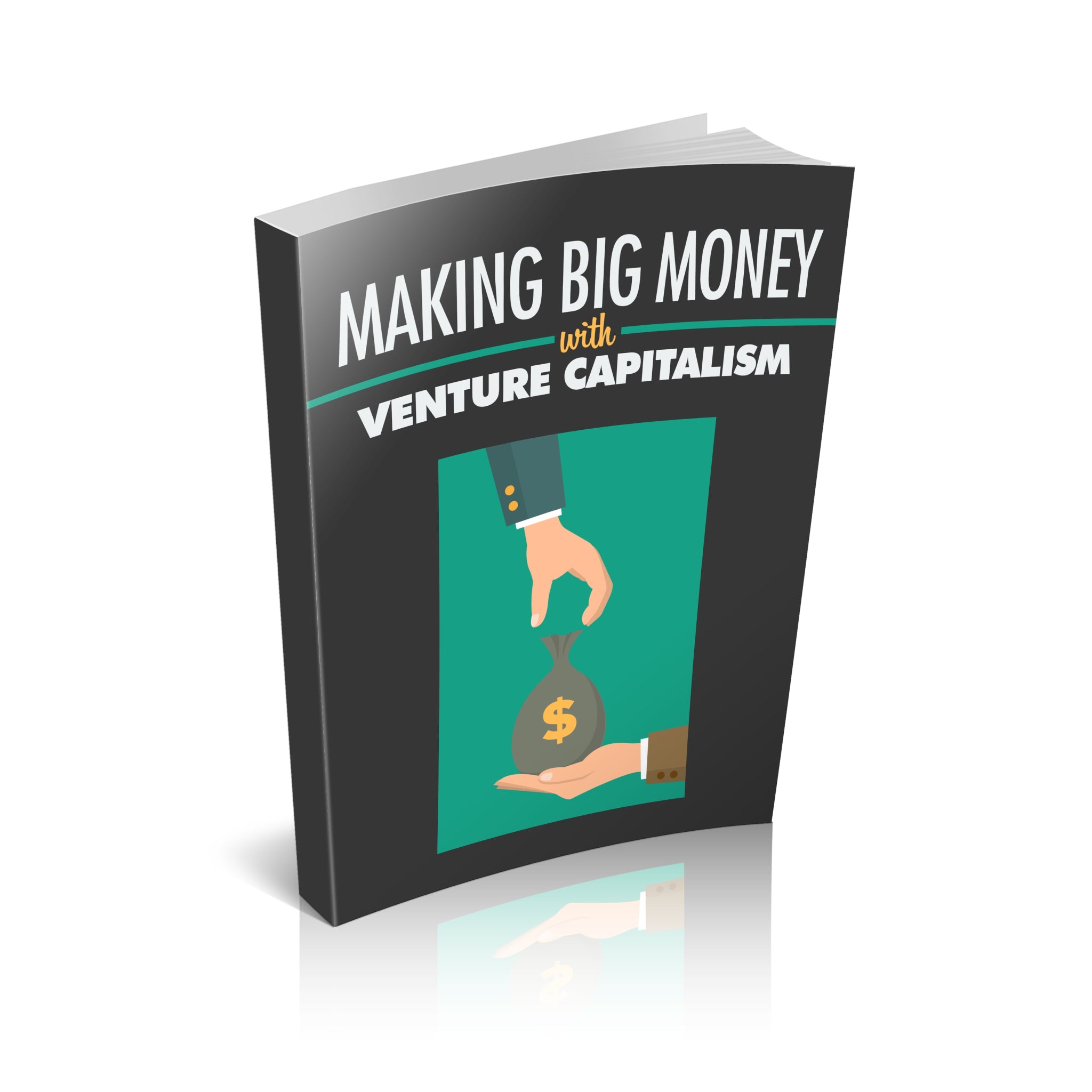Making Big Money with Venture Capitalism Ebook