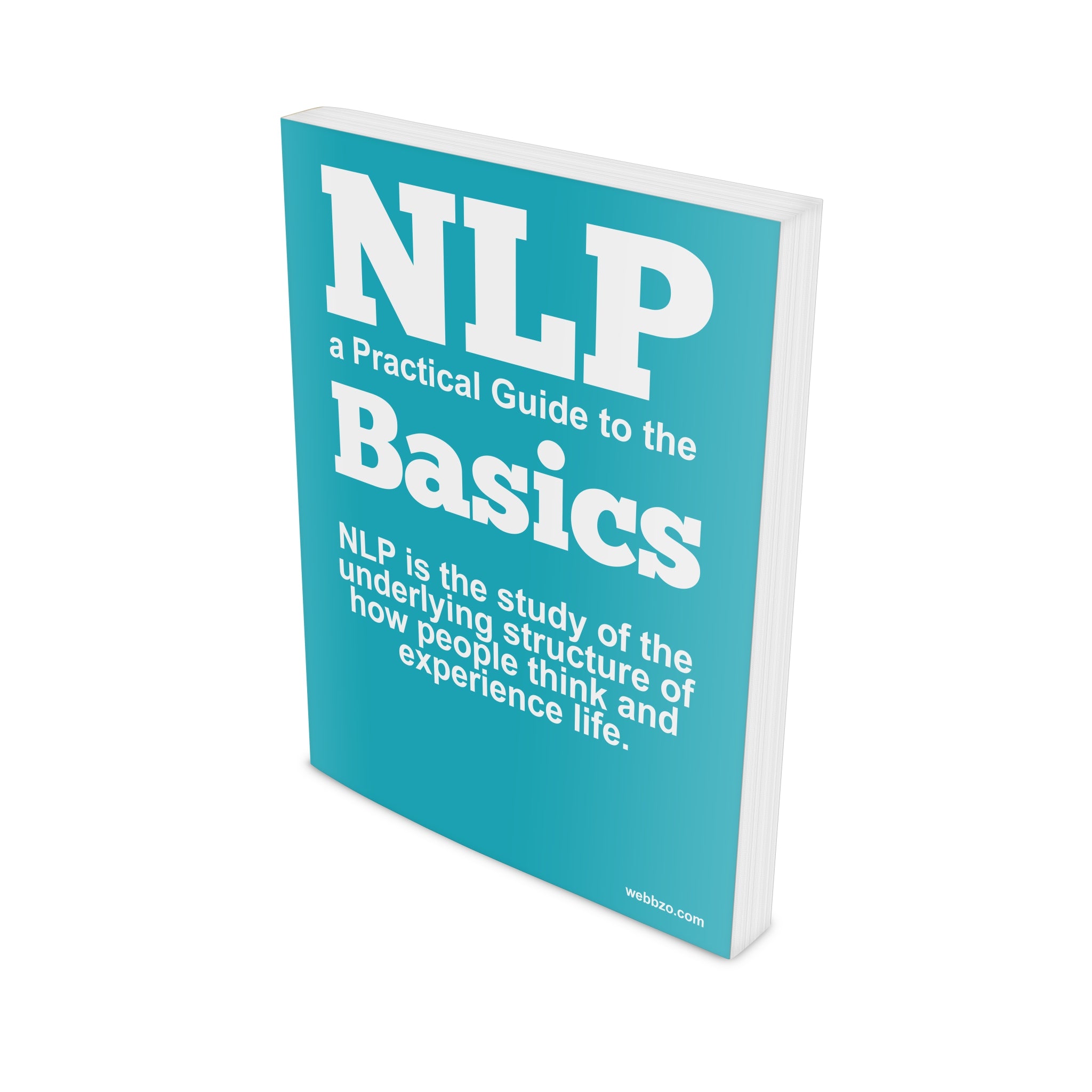 NLP a Practical Guide To The Basics Ebook