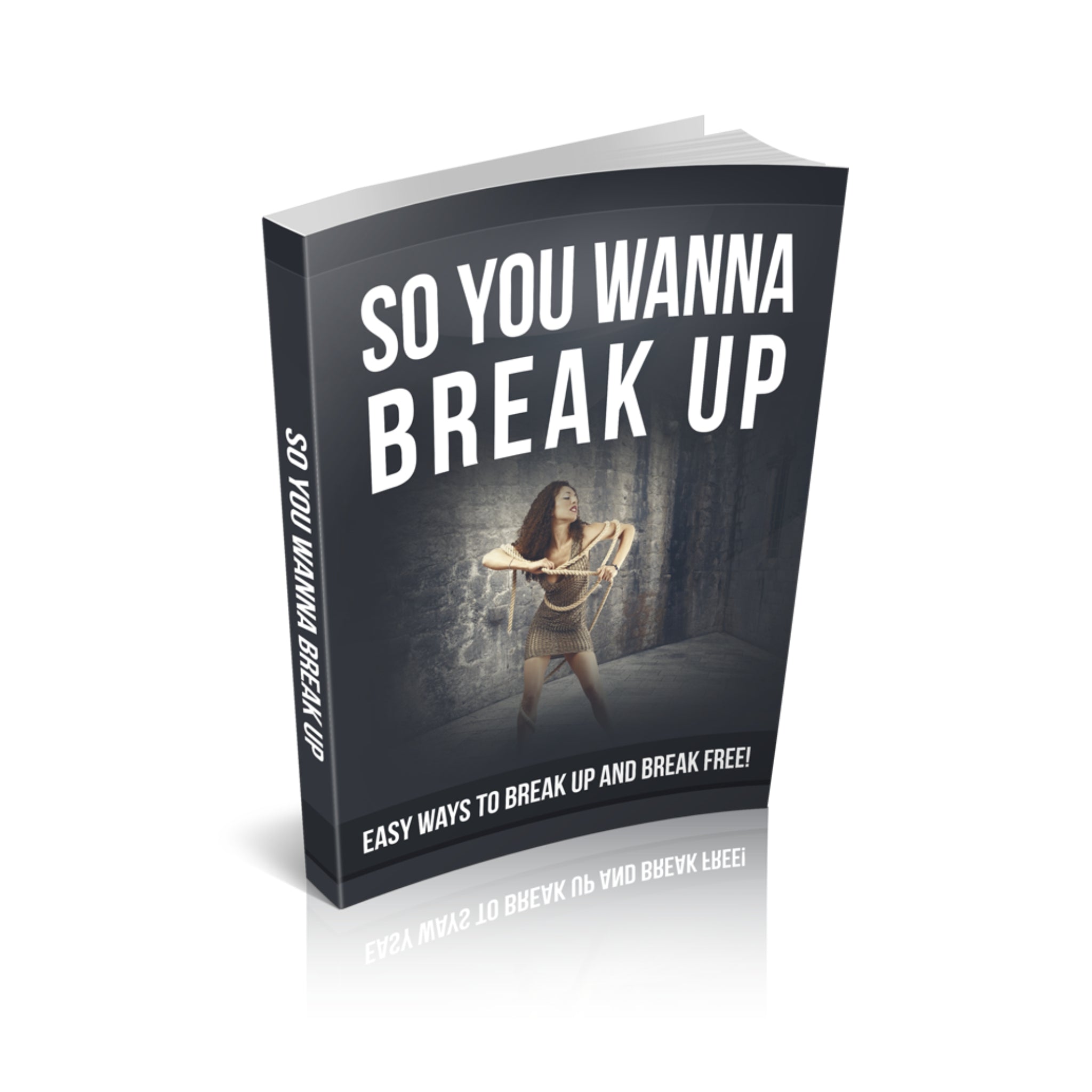 So You Wanna Break Up Ebook