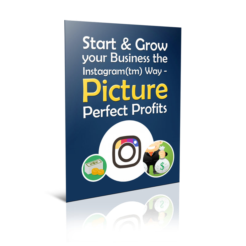 Start and Grow Your Business The Instagram Way – Picture Prefect Profits Ebook