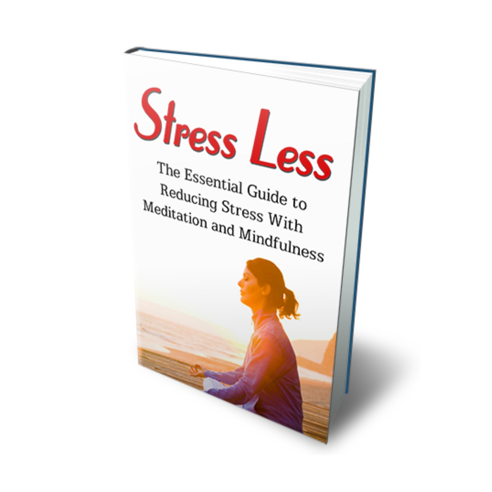 Stress Less Ebook