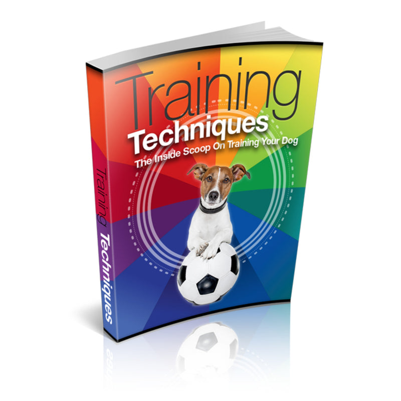 Training Techniques Ebook
