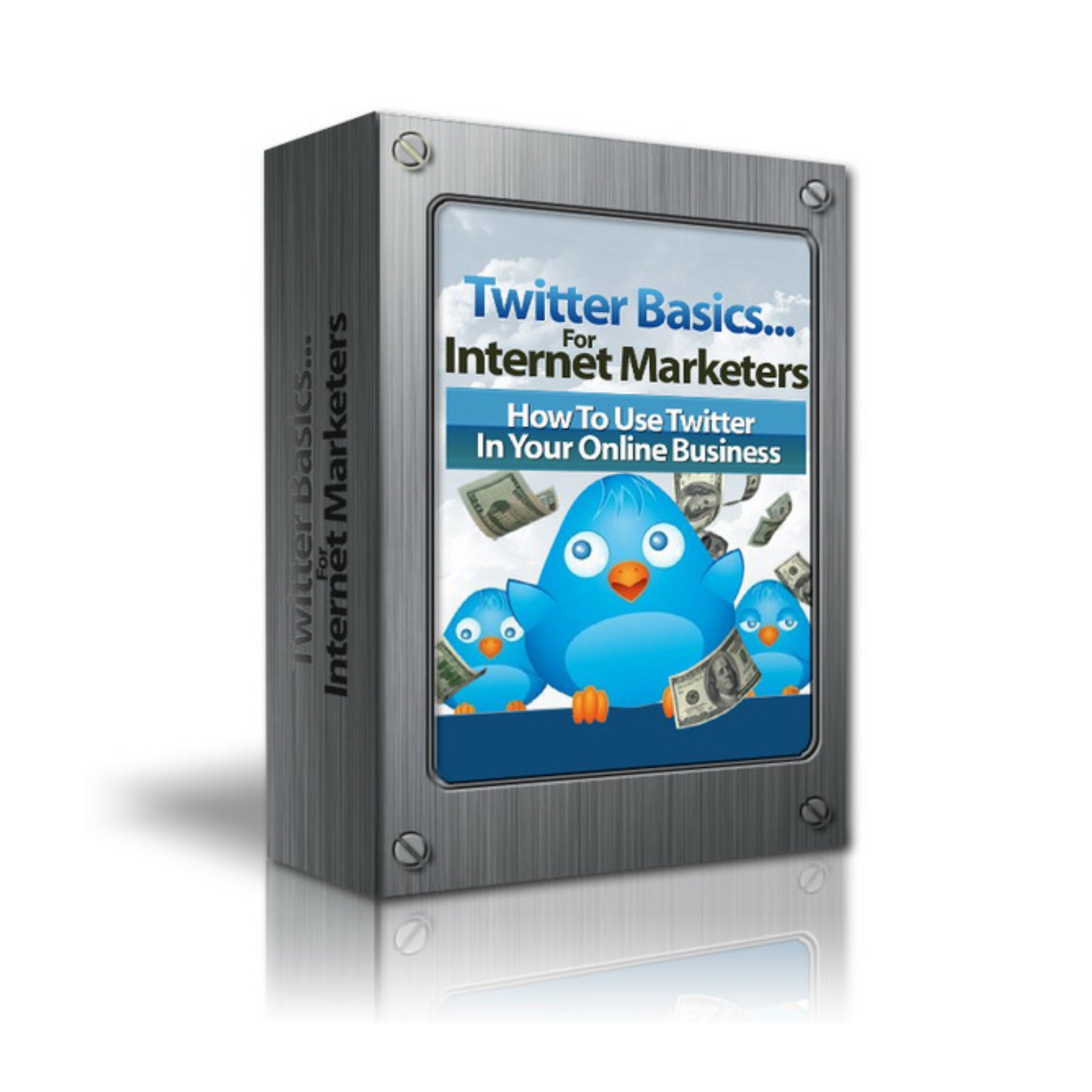 Twitter Basics For Internet Marketers Ebook