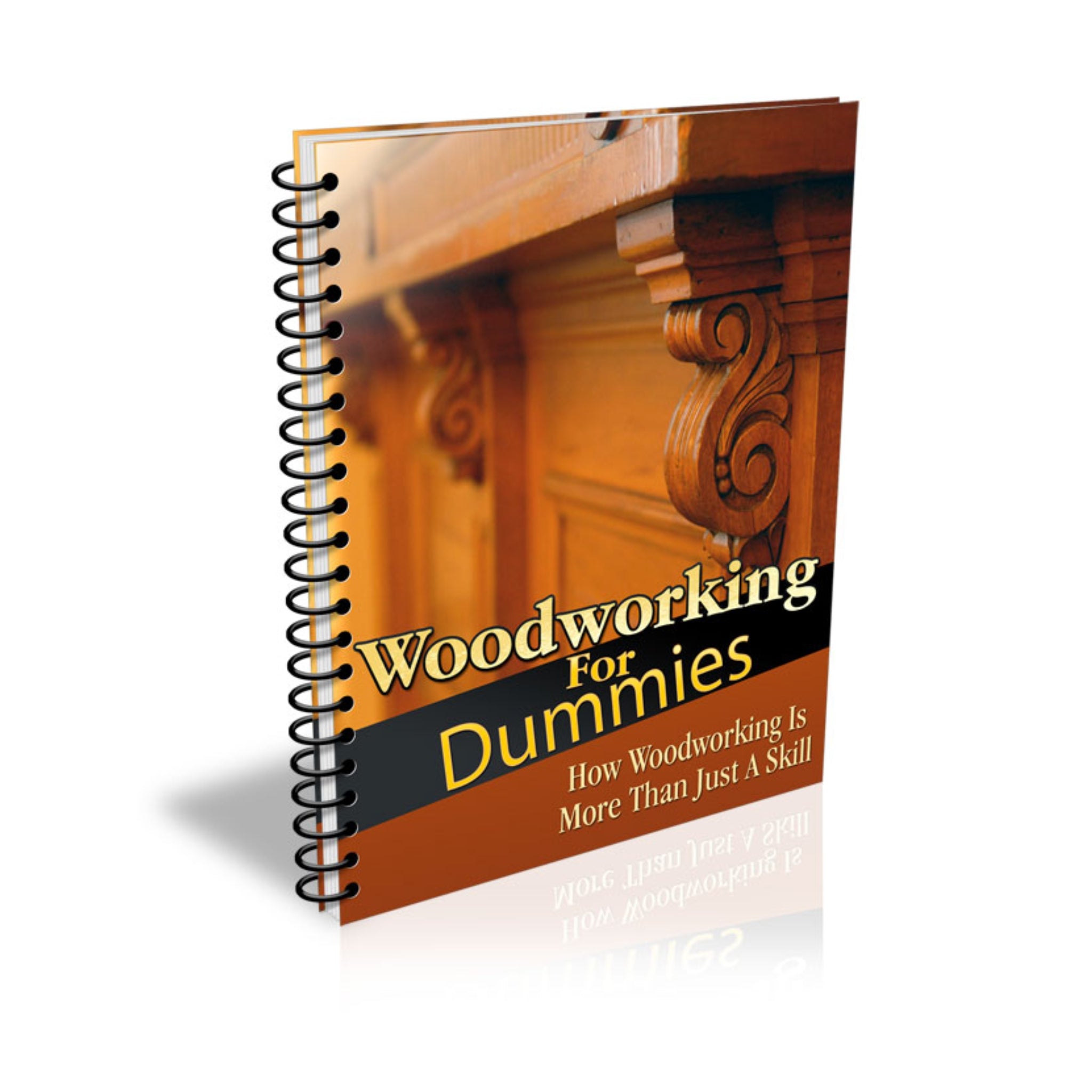 Woodworking For Dummies Ebook
